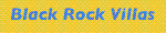 Link to Black Rock website