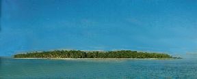 Palmerston from sea level