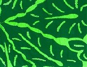 Green design